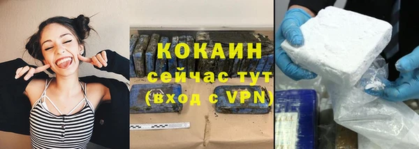 гидра Абаза