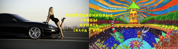 гидра Абаза