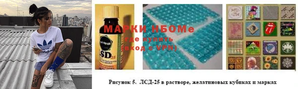 гидра Абаза