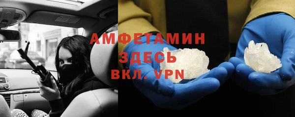 гидра Абаза