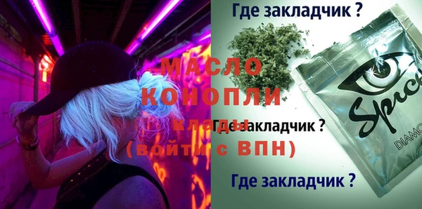 гидра Абаза