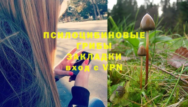 mix Алексеевка