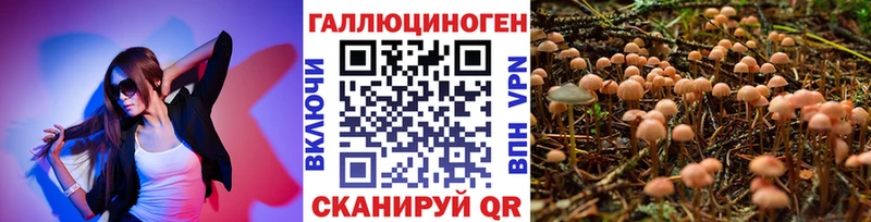 гидра ТОР  Шумиха  Псилоцибиновые грибы Psilocybe  купить  